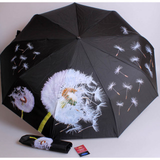 Зонт женский Popular 248 одуванчик, полный автомат